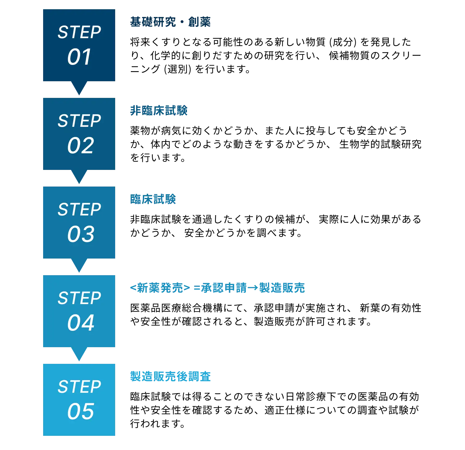 医薬品開発の流れのイメージ画像