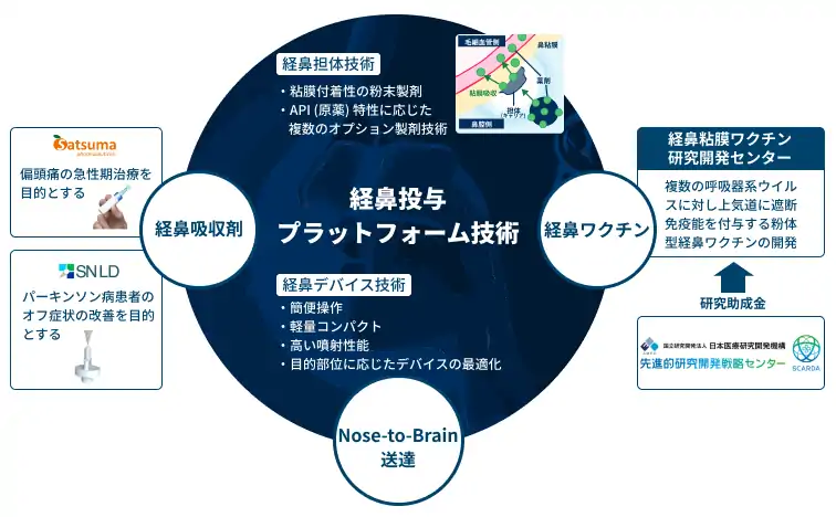 医薬品開発における臨床CROの役割